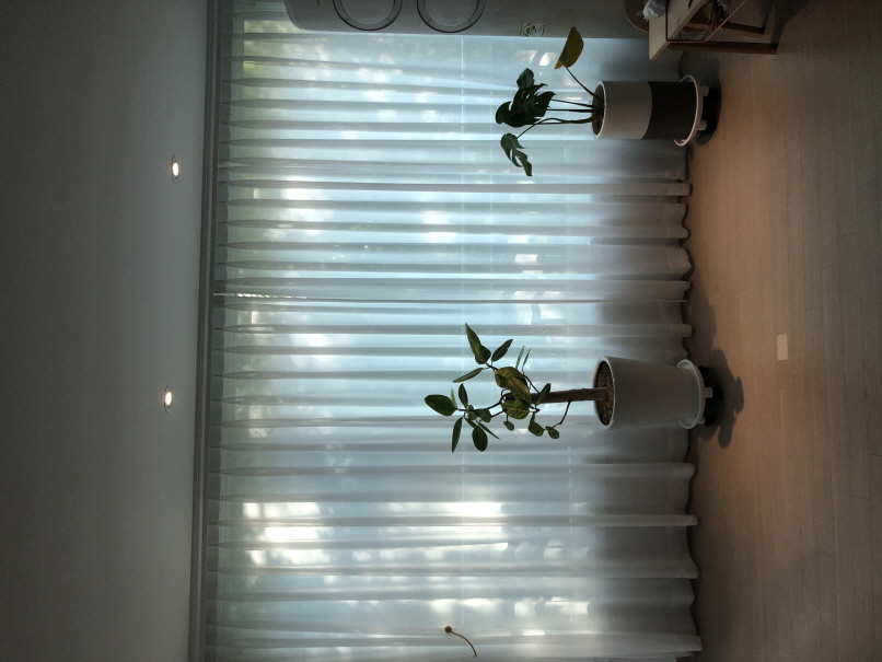 2049928719_7qPgjDAU_bf8c6ffe197903a15fc8990d4f24931a8e03b6c3.jpg 이미지크게보기